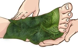 Применение капустных листьев при артрите и артрозе