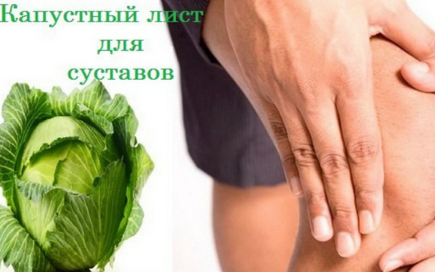 Проверенные способы лечения суставов капустным листом